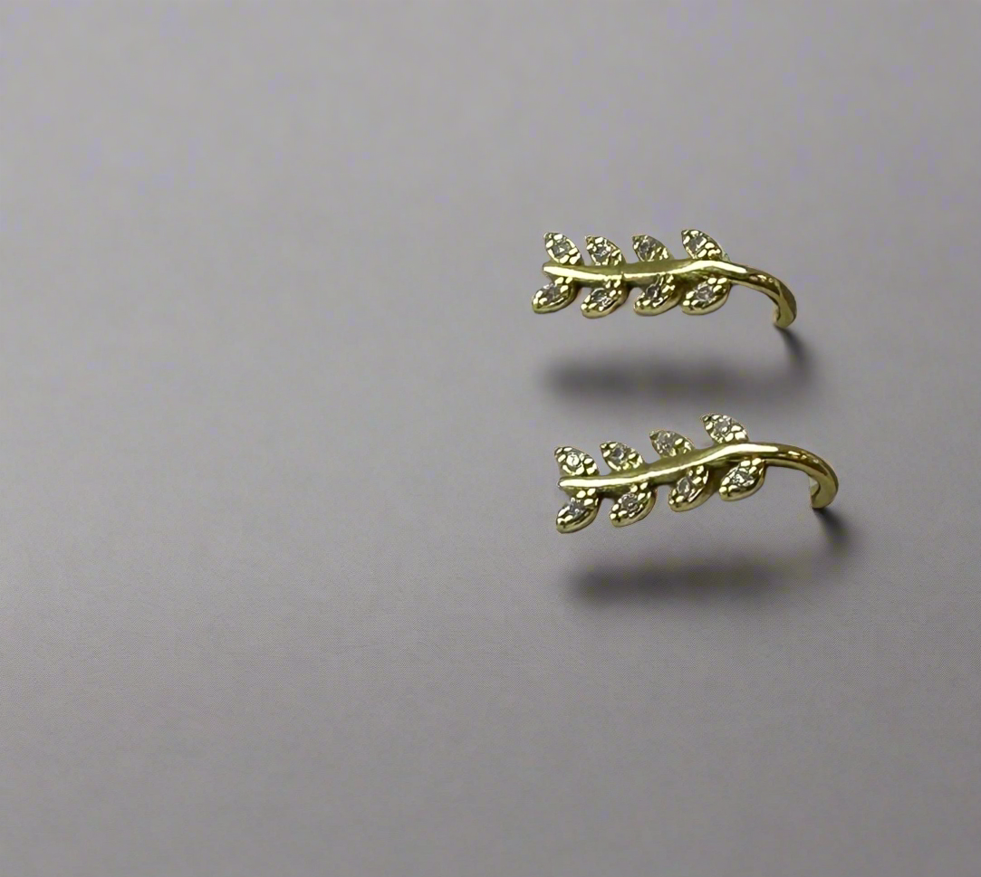 Ear cuffs