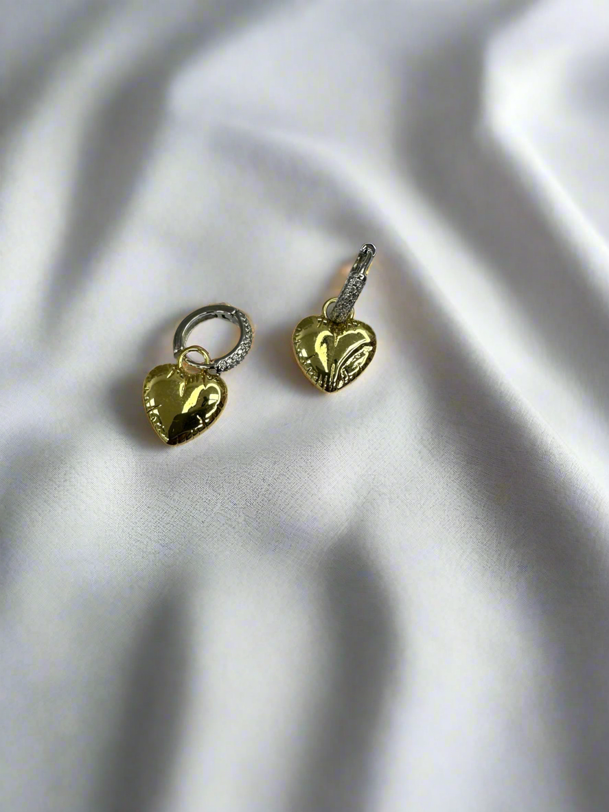 Chloe Two Tone Dangel Earrings