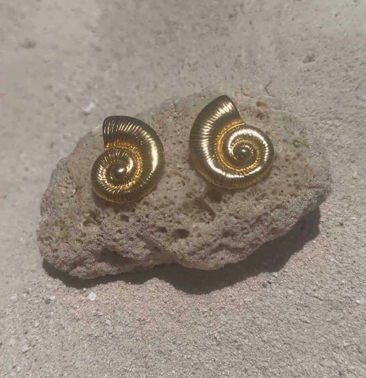 SHELL EARRINGS