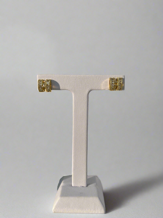 H Earrings
