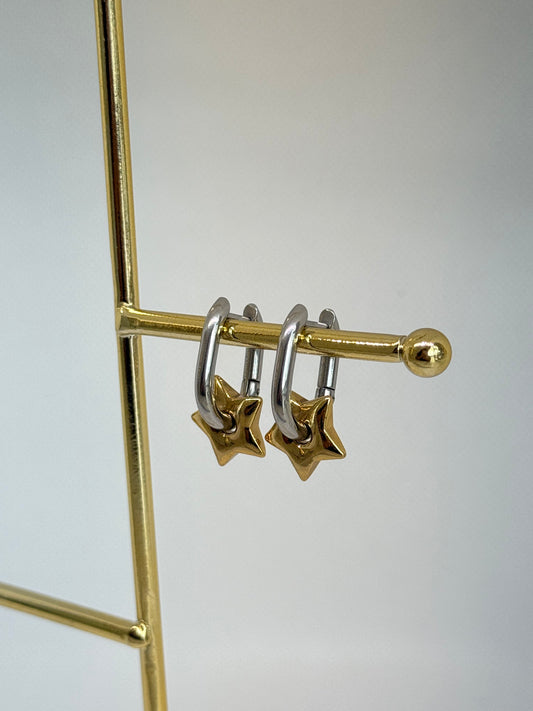 Estrella Two tone earrings